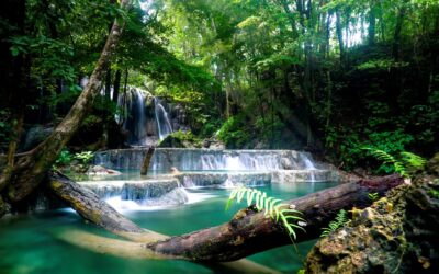 Paket Tour Sehari Pulau Moyo